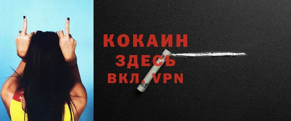 гидра Елабуга