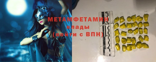 гидра Елабуга