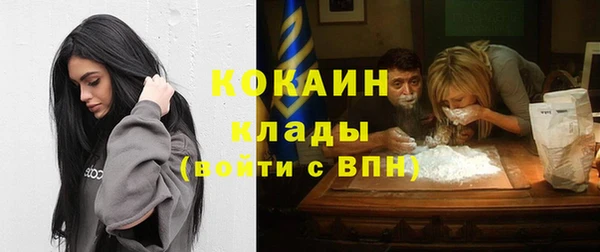 гидра Елабуга