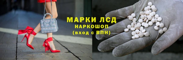 гидра Елабуга