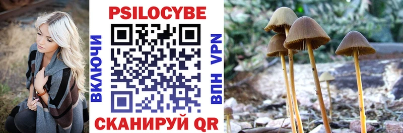 Галлюциногенные грибы Psilocybe  купить   Кадников 